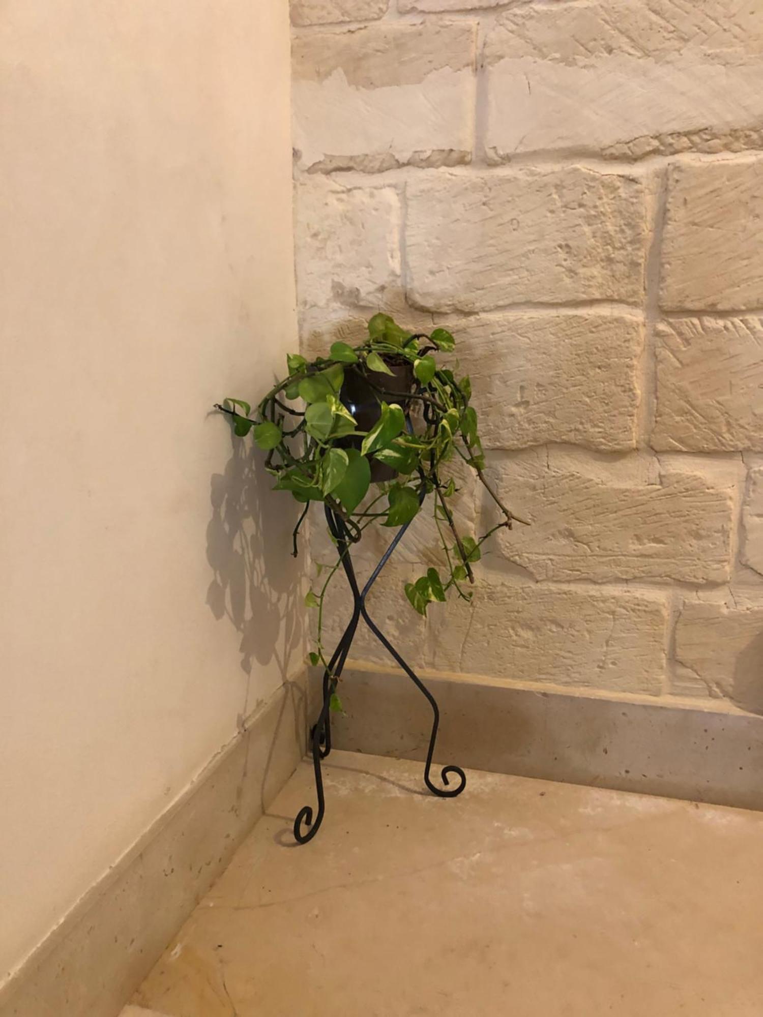 Mayu'S House , Dimora Nel Centro Storico Di Lecce Zewnętrze zdjęcie